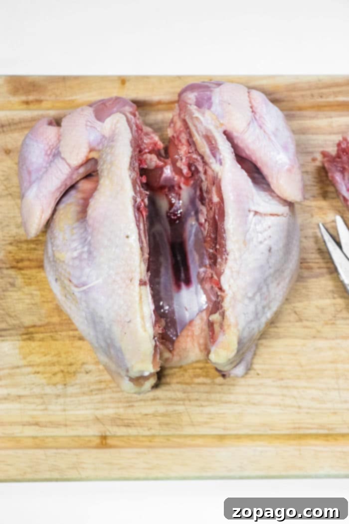 Oven Roasted Spatchcock Chicken 3 How to Spatchcock a Chicken with a Knife