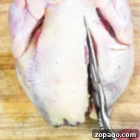 What is Spatchcocking a Chicken