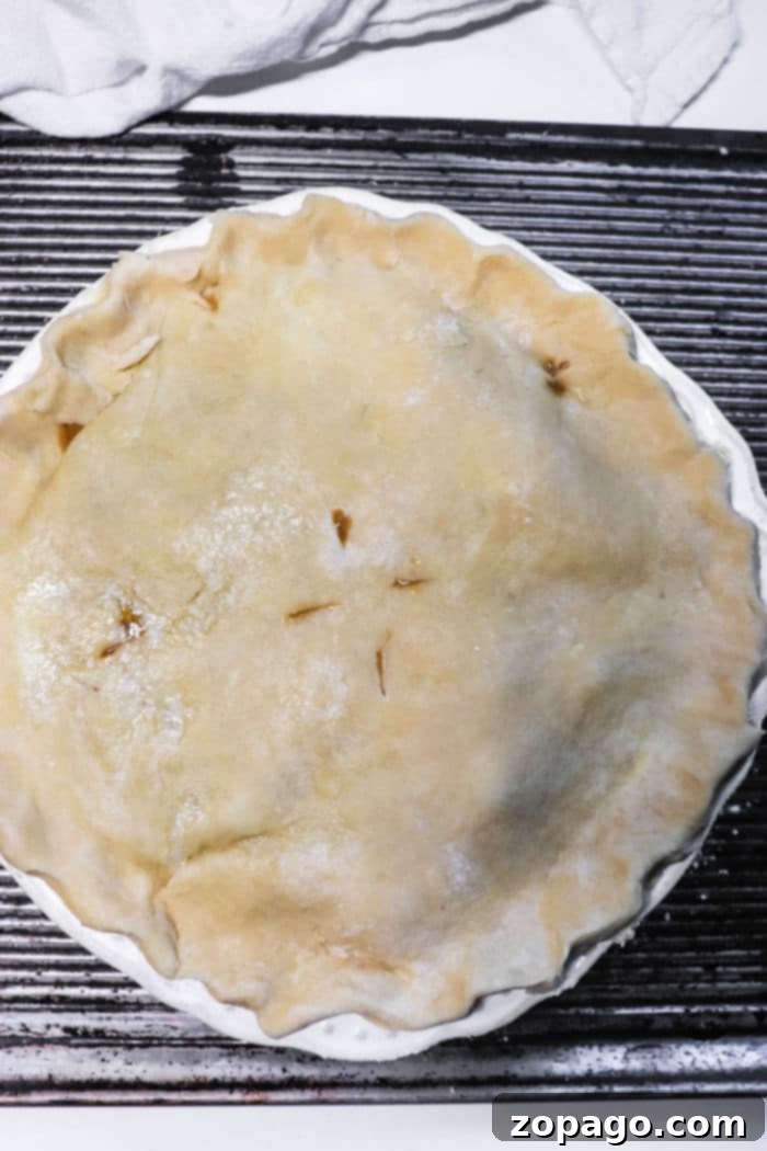 Ultimate Double Crust Pot Pie 8 Double Crust Chicken Pot Pie