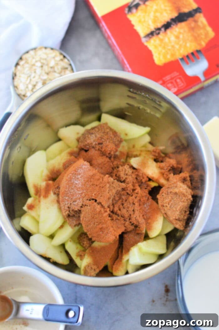Effortless Cake Mix Apple Cobbler 3 Apple Cobbler Dump Cake with Fresh Apples: A close-up of a rustic apple cobbler baking in a glass dish, with fresh apple slices visible beneath a golden-brown cake mix topping.