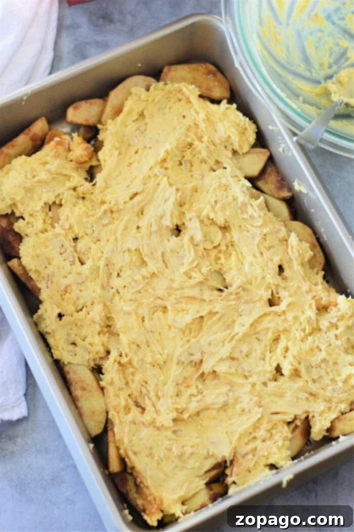 Effortless Cake Mix Apple Cobbler 4 Apple Cobbler Dump Cake: A bubbling, golden apple cobbler fresh out of the oven, with a rustic, delicious appearance.