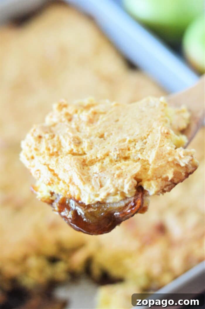 Effortless Cake Mix Apple Cobbler 5 Apple Cobbler with Cake Mix: A beautifully plated serving of apple cobbler with a generous scoop of vanilla ice cream, ready to be eaten.