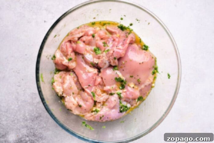 Vibrant Mediterranean Chicken Marinade 5 Chicken Thighs Marinade