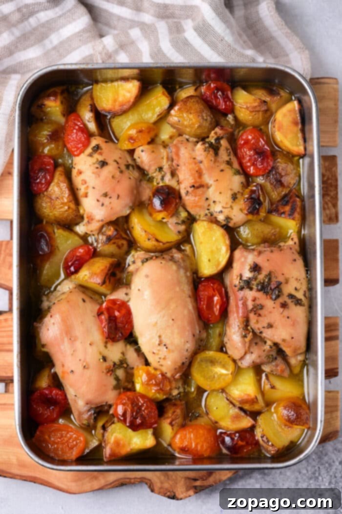 Vibrant Mediterranean Chicken Thighs 2 Mediterranean Chicken Thighs with roasted potatoes and cherry tomatoes