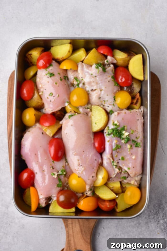 Vibrant Mediterranean Chicken Thighs 5 Mediterranean chicken thighs nestle among cherry tomatoes and potato slices in a roasting pan, all garnished with fragrant herbs for a delightful twist.