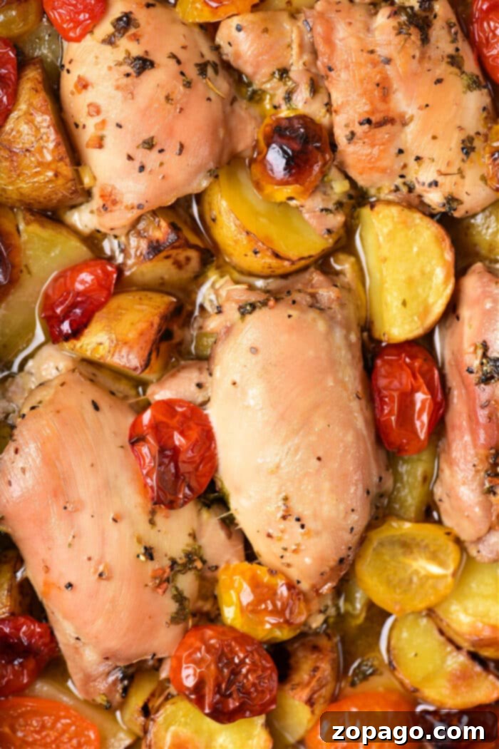 Vibrant Mediterranean Chicken Thighs 6 Baked Mediterranean chicken thighs and vegetables in oven pan
