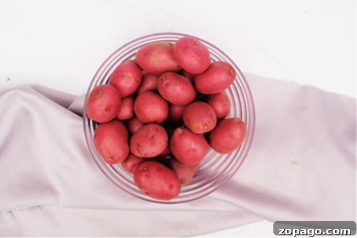 Crispy Air Fryer Baby Potatoes 3 Close-up of vibrant Baby Red Potatoes, showcasing their smooth, thin skins.