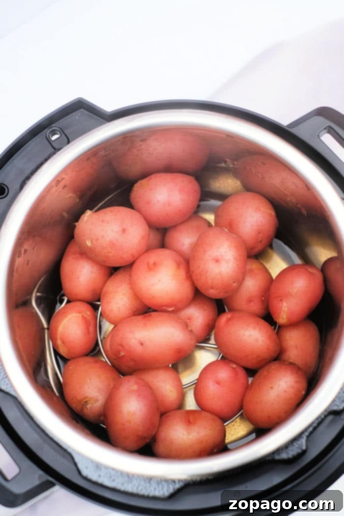 Golden Roasted Air Fryer Baby Potatoes 4 Instant Pot Roasted Potatoes