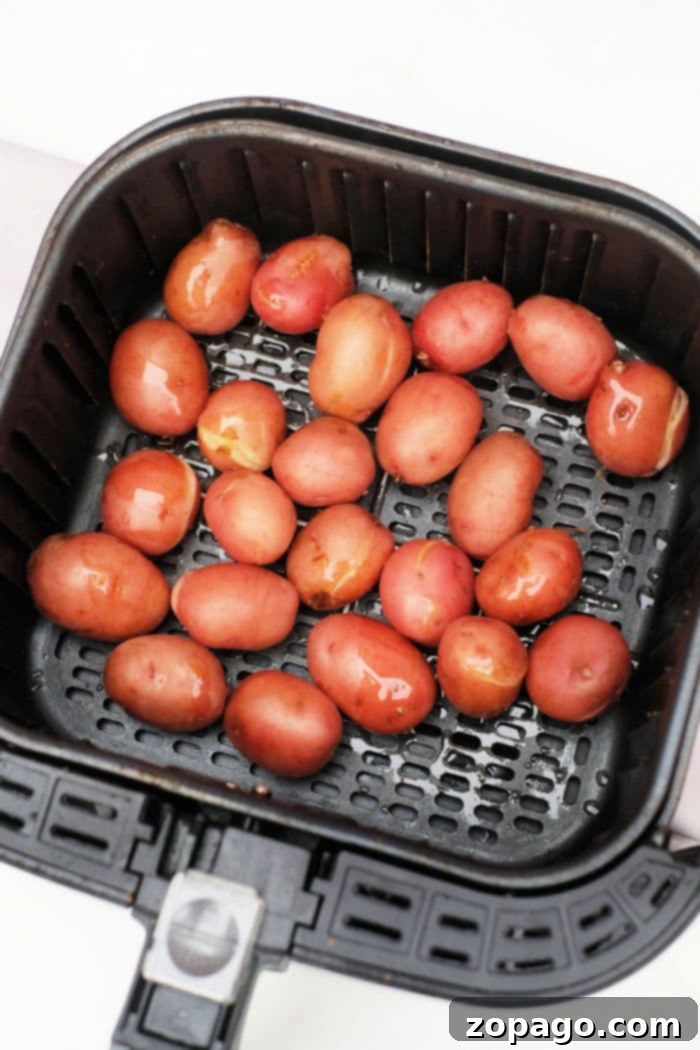 Golden Roasted Air Fryer Baby Potatoes 5 Roasted Red Potatoes with Rosemary