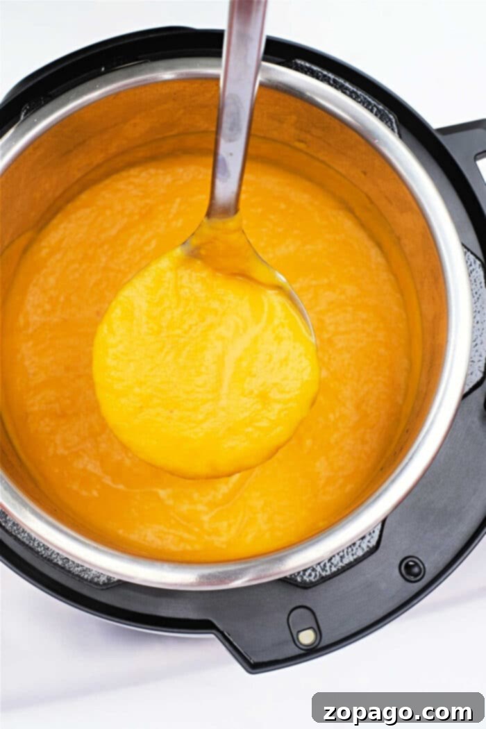 Velvety Kabocha Squash Soup 2 Creamy Kabocha Squash Soup in a bowl, garnished for serving.