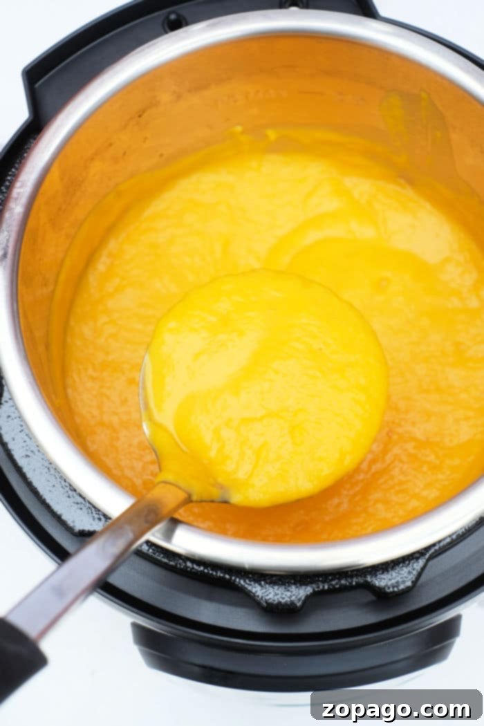 Velvety Kabocha Squash Soup 4 A bowl of creamy Kabocha and Carrot Soup, showcasing its vibrant color.