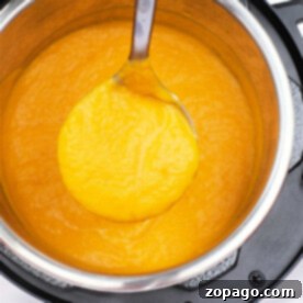 A ladle serves creamy kabocha squash soup from an Instant Pot.