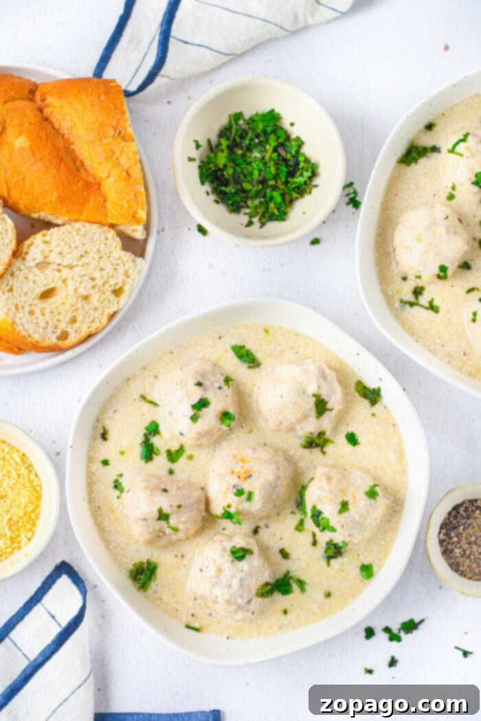 Creamy Alfredo Meatball Delight 7 Turkey Meatballs with Alfredo