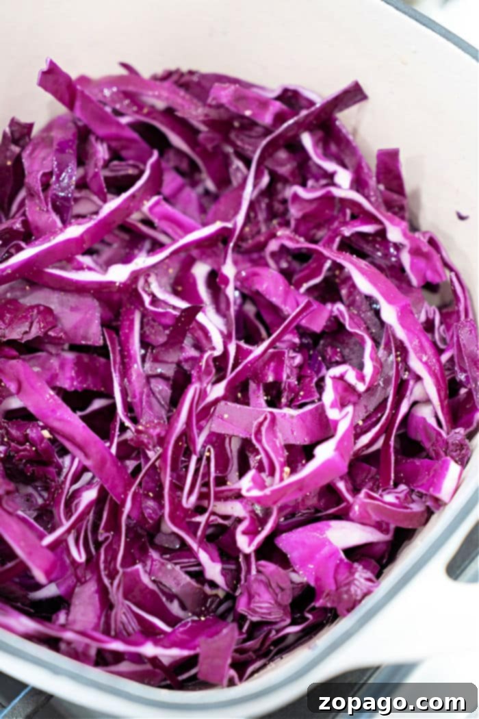 Sweet and Sour Red Cabbage 5 A close-up of beautifully sauteed purple cabbage ready to be enjoyed as a side dish.