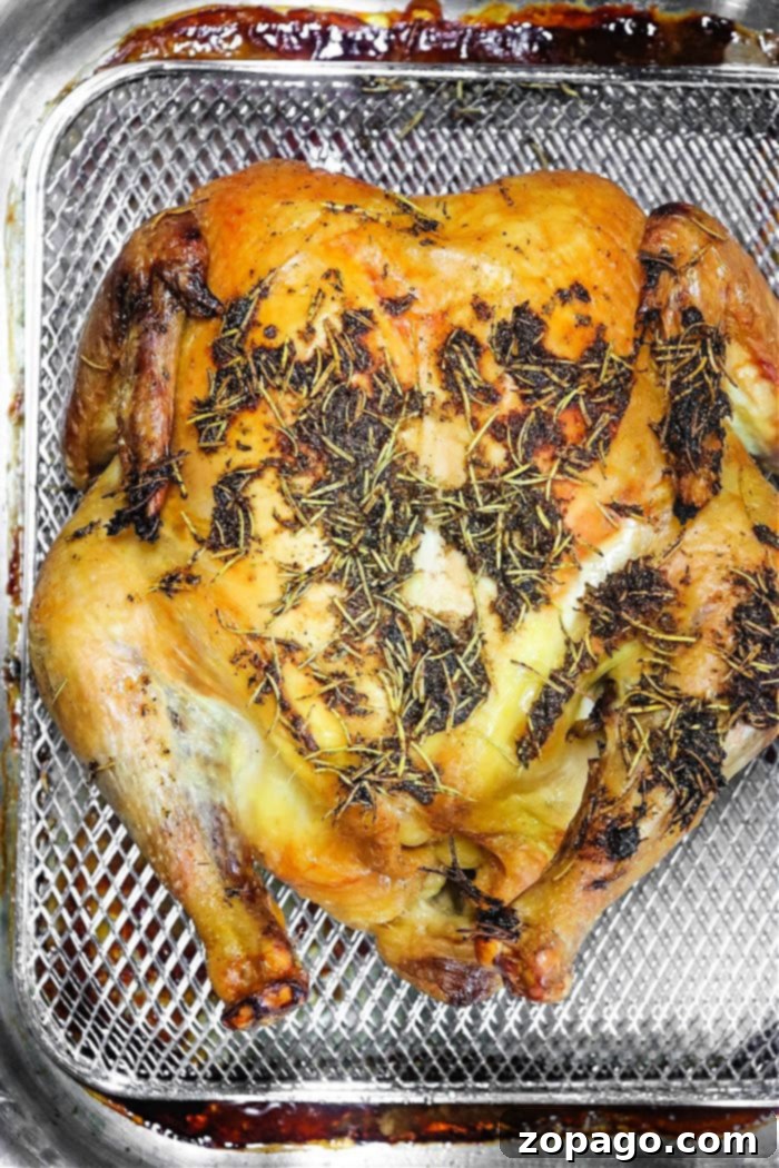 Tips for Seasoning Frozen Chicken 2 How to Season Frozen Chicken - A Comprehensive Guide