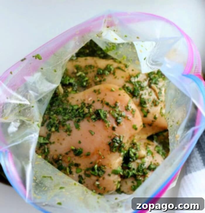 Tips for Seasoning Frozen Chicken 6 Is it OK to Marinate Frozen Chicken - Why Thawing is Key