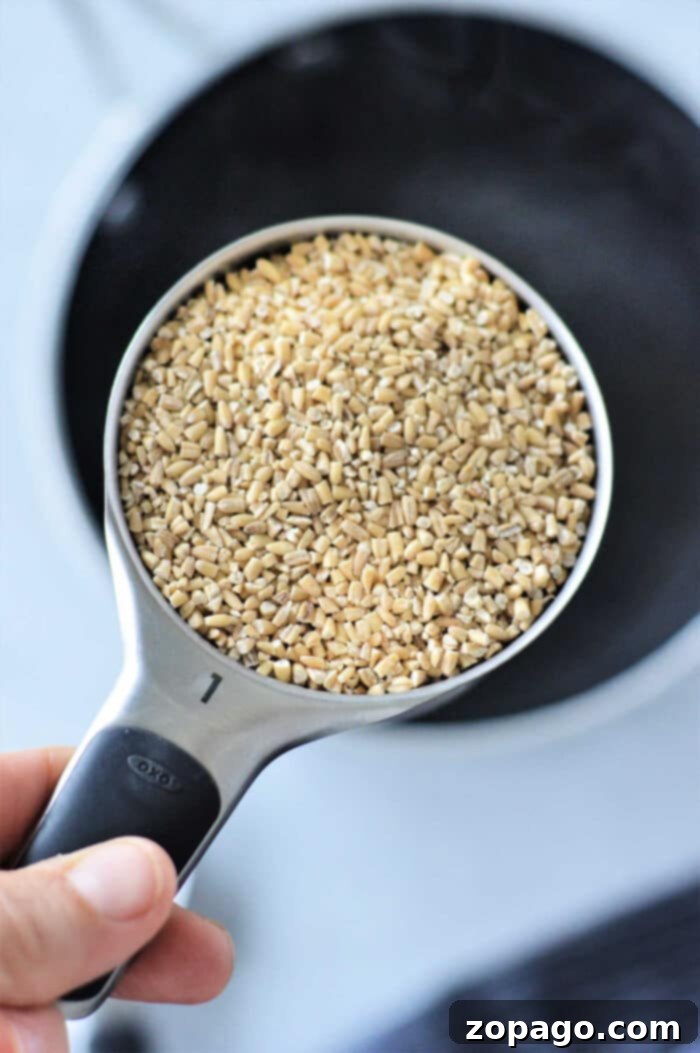 Perfect Steel Cut Oats 4 Close-up of a hand holding a measuring cup filled with steel-cut oats over a pot, demonstrating the first step in how to cook steel-cut oats perfectly.