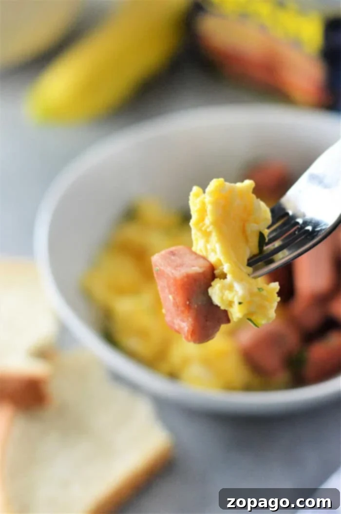 Quick and Tasty Spam and Eggs 6 Spam and Eggs Recipe