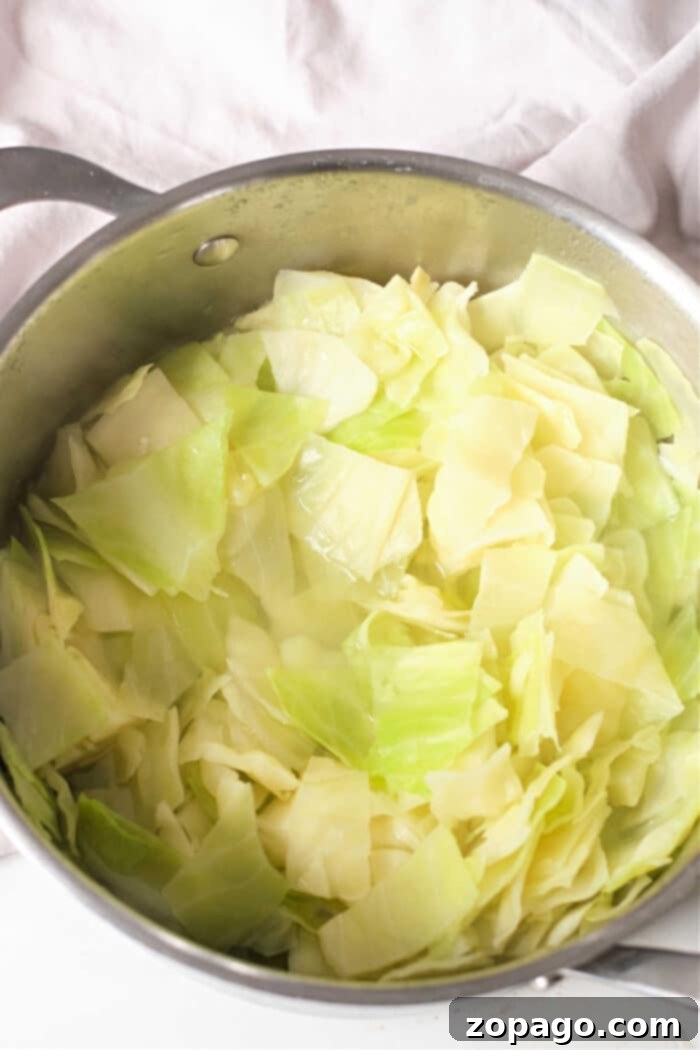 Boil Cabbage to Perfection 2 How Long to Boil Cabbage for Perfect Tender Results