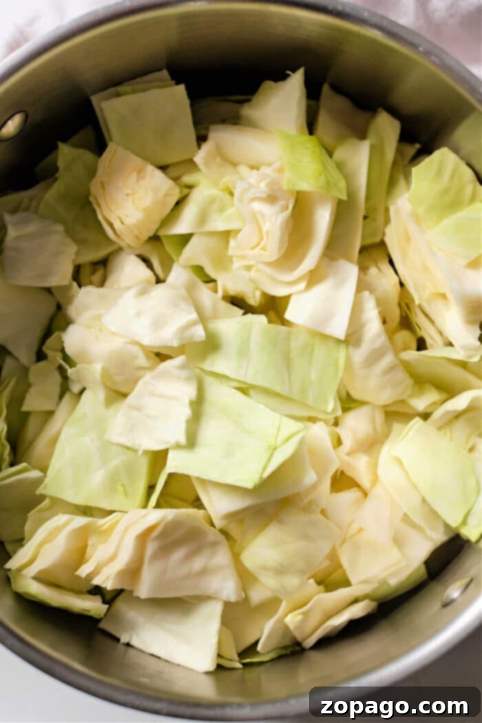 How to Boil Cabbage to Perfection 5 How Long Does it Take to Boil Cabbage for any recipe