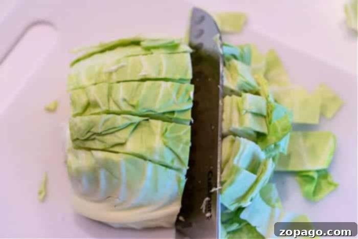Delicious Cabbage Made Easy 4 cutting cabbage