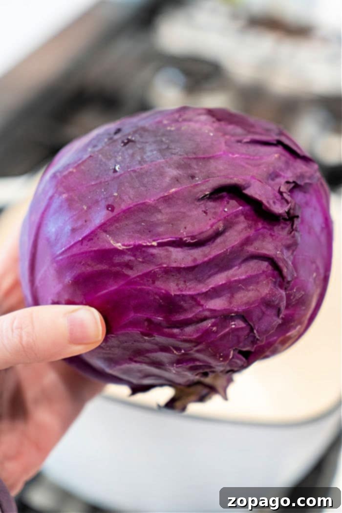 Delicious Cabbage Made Easy 7 how to cook red cabbage