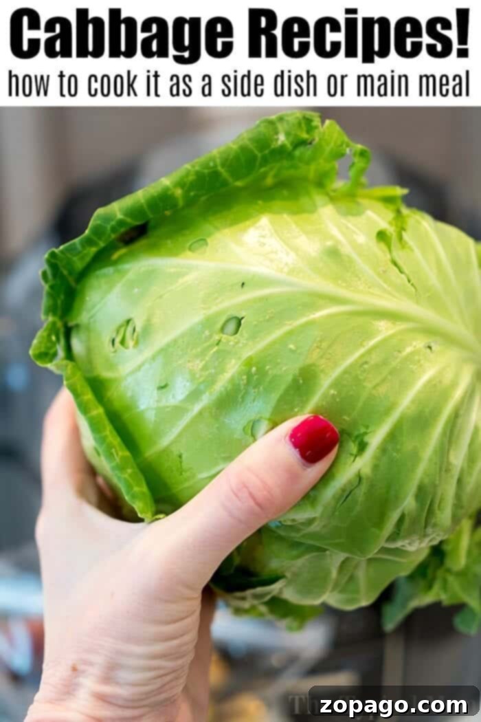 Delicious Cabbage Made Easy 8 how to cook cabbage