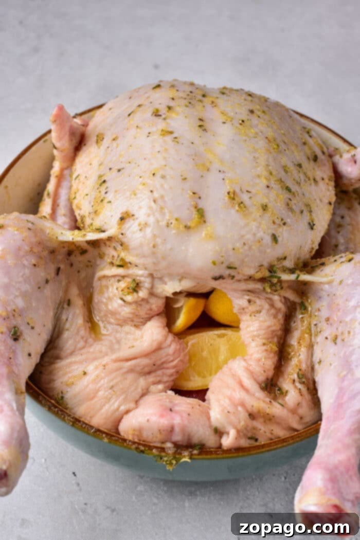 Classic Stuffed Whole Chicken 2 Beautifully roasted whole stuffed chicken with golden-brown skin and a medley of vegetables.