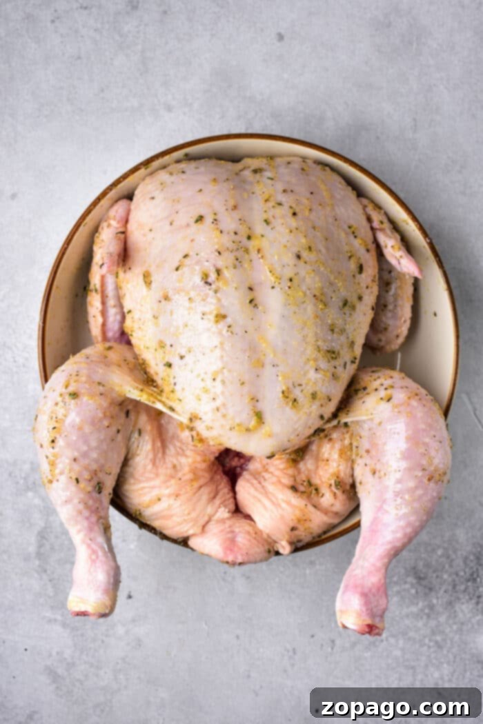 Classic Stuffed Whole Chicken 3 Close-up of a whole chicken seasoned generously with herbs and spices, ready for cooking.