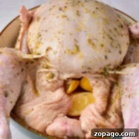 Stuffed whole chicken seasoned with herbs and filled with lemon wedges, nestled in a bowl.