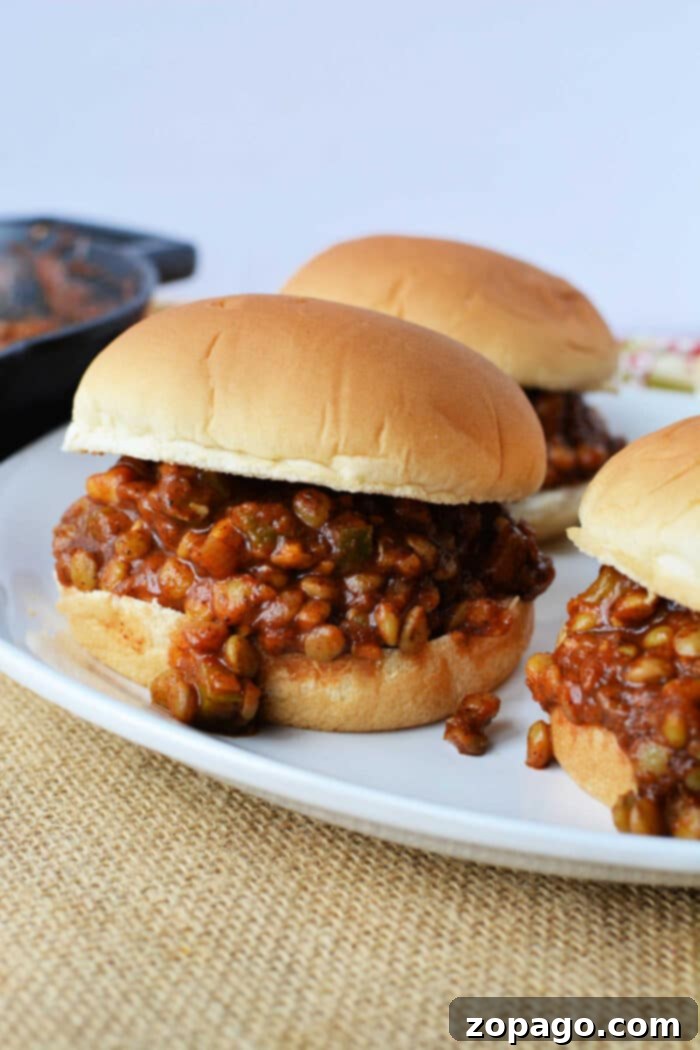 Hearty Lentil Sloppy Joes 2 Sloppy Lentil Joes served on toasted buns with fresh toppings, showcasing a healthy and vibrant meal.