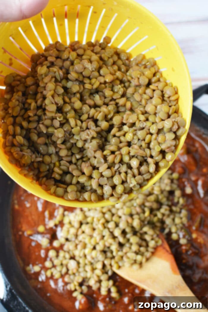 Lentil Sloppy Joe Perfection 4 Sloppy Joes with Lentils in a serving bowl