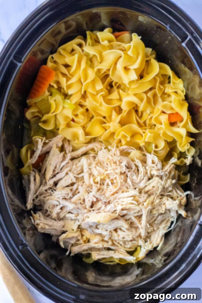Comforting Crockpot Chicken and Noodles 2 Slow Cooker Egg Noodles and Chicken - A delightful and easy one-pot comfort food meal with tender chicken and wide egg noodles.