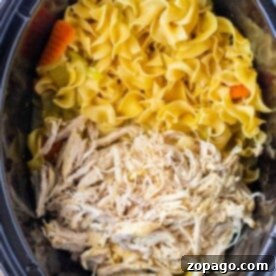 A slow cooker with egg noodles and chicken, complemented by tender shredded chicken, carrots, and celery.