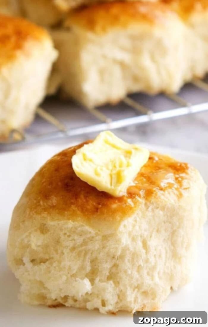 frozen rolls recipe