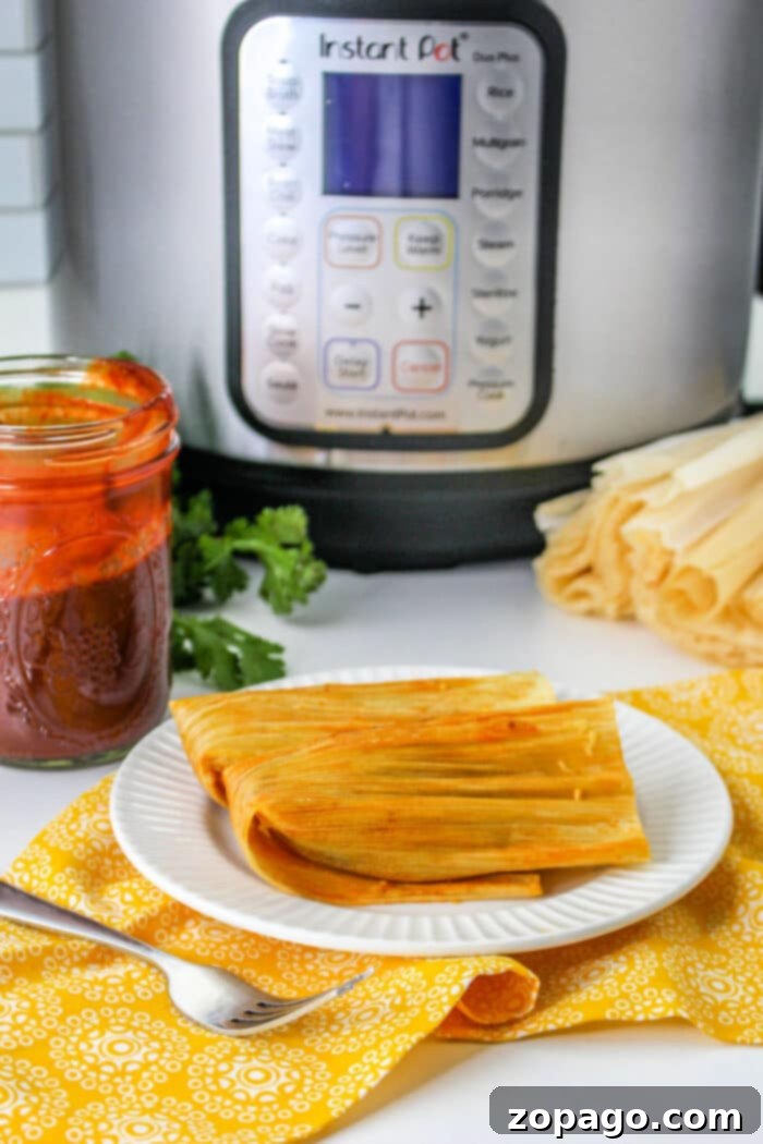 Crafting Authentic Red Tamales at Home 9 red tamales