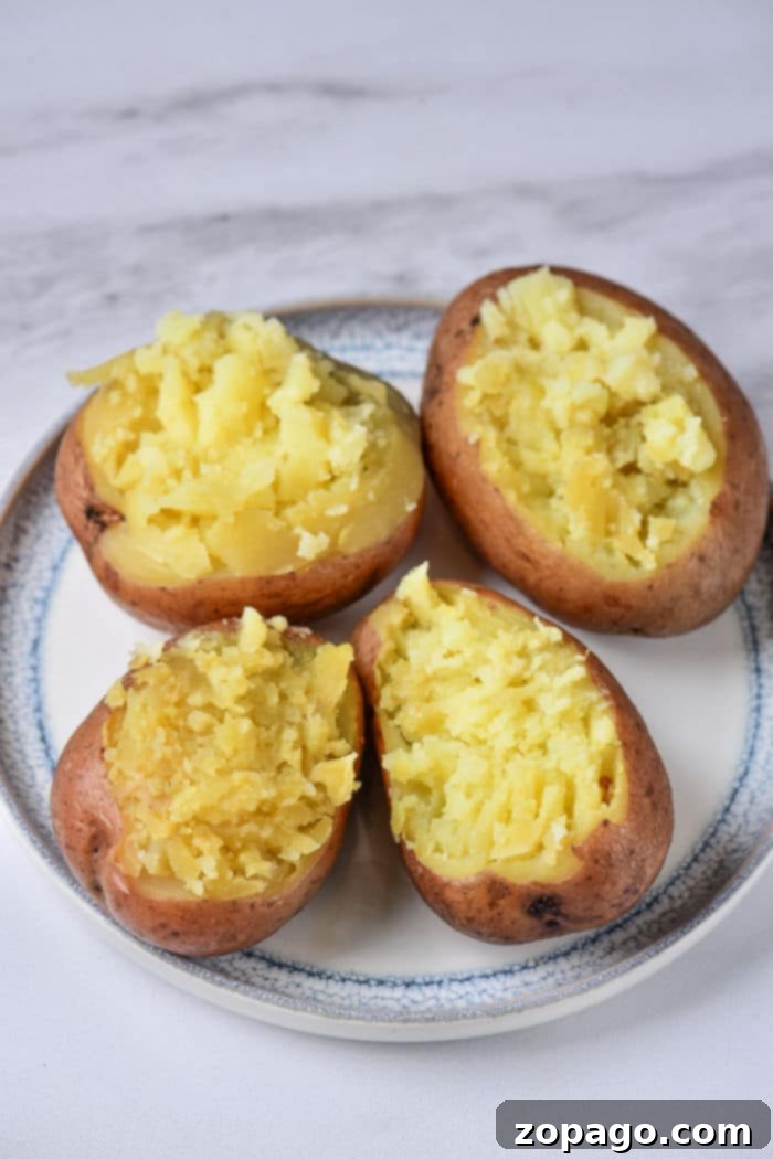 Foil Wrapped Baked Potatoes 5 Stuffed Red Potatoes