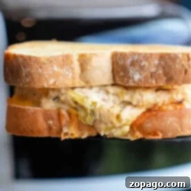 Easy Toaster Oven Meals 5 toaster oven tuna melt
