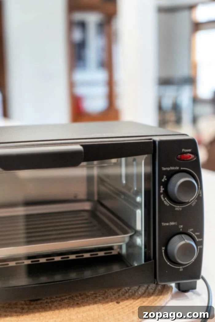 Small Oven Big Flavor 6 toaster oven recipes