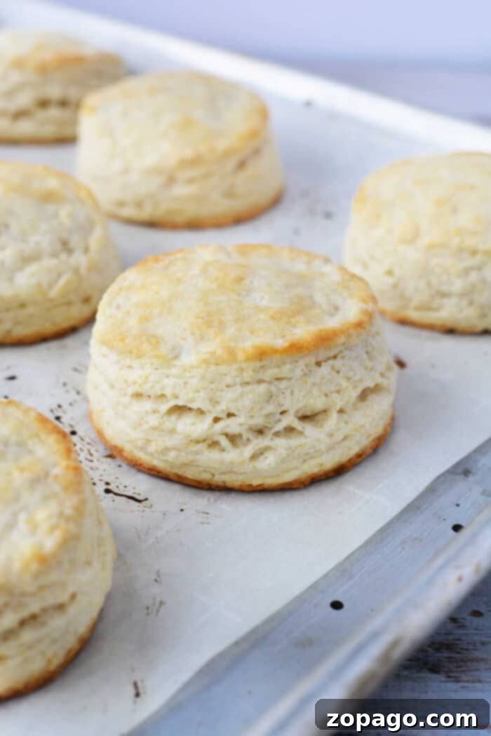 The Legendary Whataburger Chicken Biscuit 5 A stacked Copycat Whataburger Chicken Biscuit, showing layers of biscuit, chicken, and honey butter