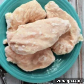 Perfect Frozen Chicken Breast Every Time 6 A turquoise plate holds frozen chicken breasts, elegantly displayed on a rustic wooden table.