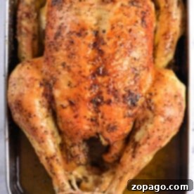 A roasted chicken with crispy, golden-brown skin is placed in a metal baking tray. Seasoned with spices and tied at the legs, it rests in its juices—perfectly cooked for succulent tenderness.