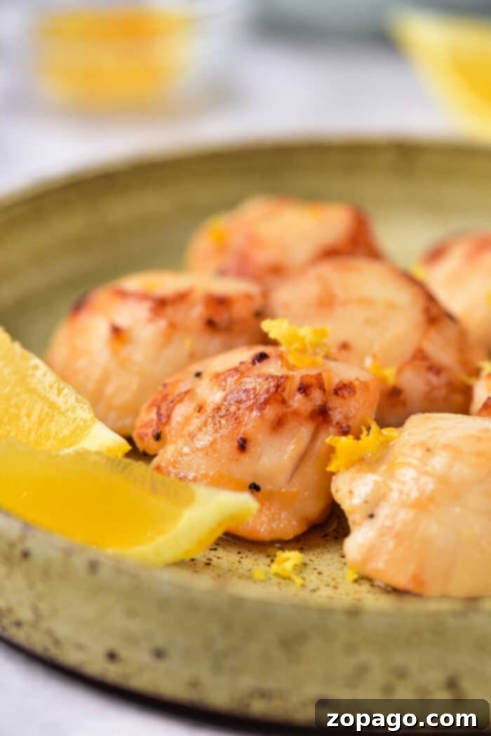 Scallop Perfection: Mastering Cooking Times 2 Perfectly Cooked Scallops