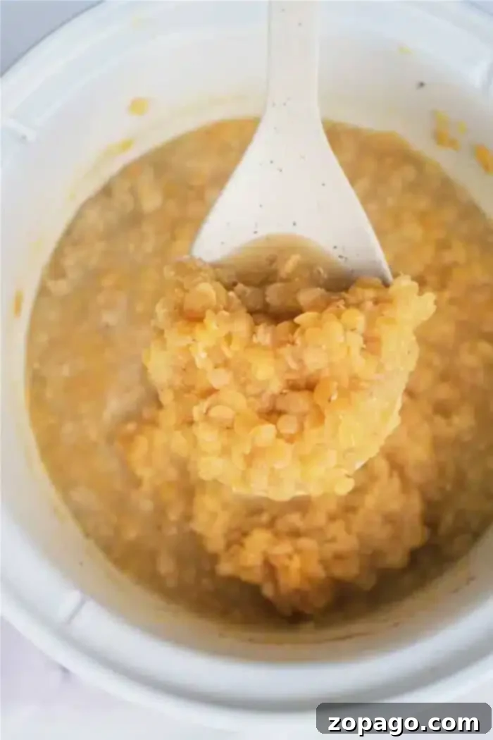 Effortless Slow Cooker Lentils 2 A white spoon holds a serving of cooked slow cooker lentils above a white bowl filled with more. The yellow lentils have a soft, chunky texture and are bathed in a light broth.