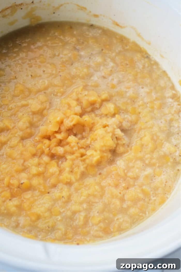 Hearty Slow Cooker Lentil Soup 10 Creamy slow cooker lentils in a white pot.