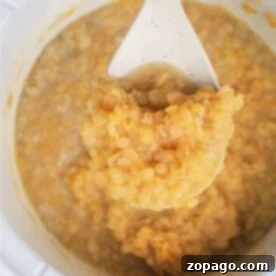 A white spoon holds cooked yellow lentils over a pot brimming with the comfort of slow cooker lentils.