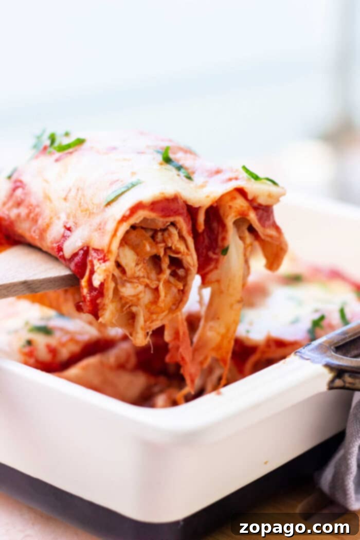 Enchilada Cooking Times 6 Freshly baked enchiladas, still bubbling from the oven, topped with herbs