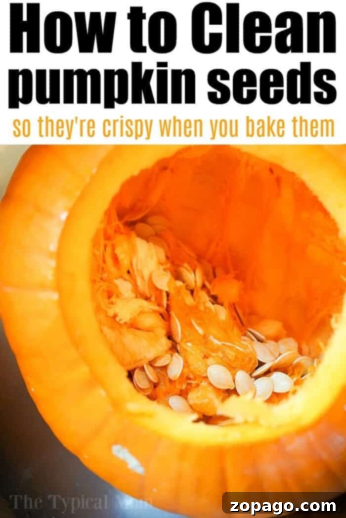 Perfectly Roasted Pumpkin Seeds: Time at 400 Degrees 3 The Easiest Way to Clean Pumpkin Seeds
