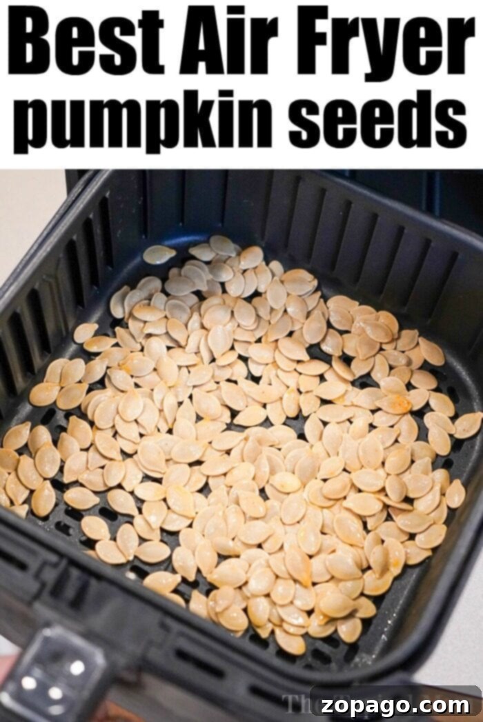 Perfectly Roasted Pumpkin Seeds: Time at 400 Degrees 5 Crispy Air Fryer Pumpkin Seeds Recipe