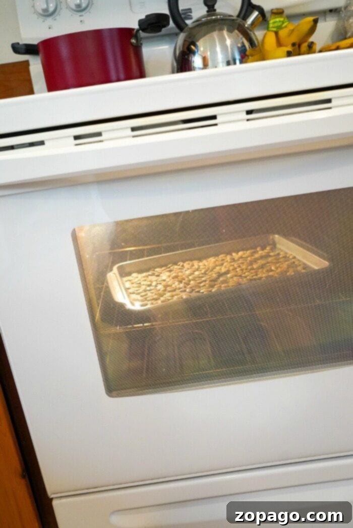 Perfectly Roasted Pumpkin Seeds: Time at 400 Degrees 7 Various Seasoned Roasted Pumpkin Seeds